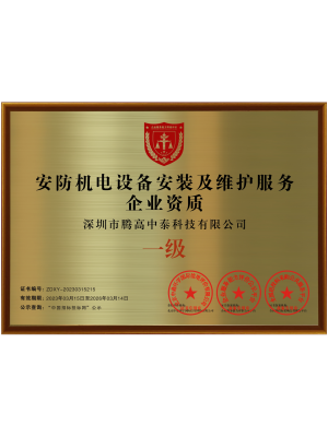 服務(wù)能力一級資質(zhì)